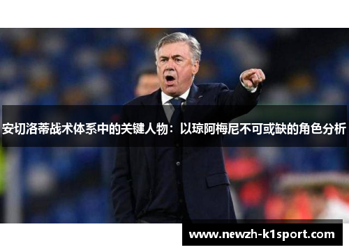 安切洛蒂战术体系中的关键人物：以琼阿梅尼不可或缺的角色分析
