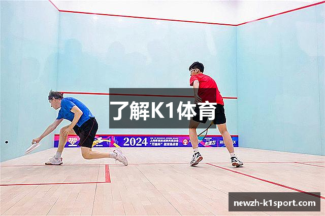 了解K1体育